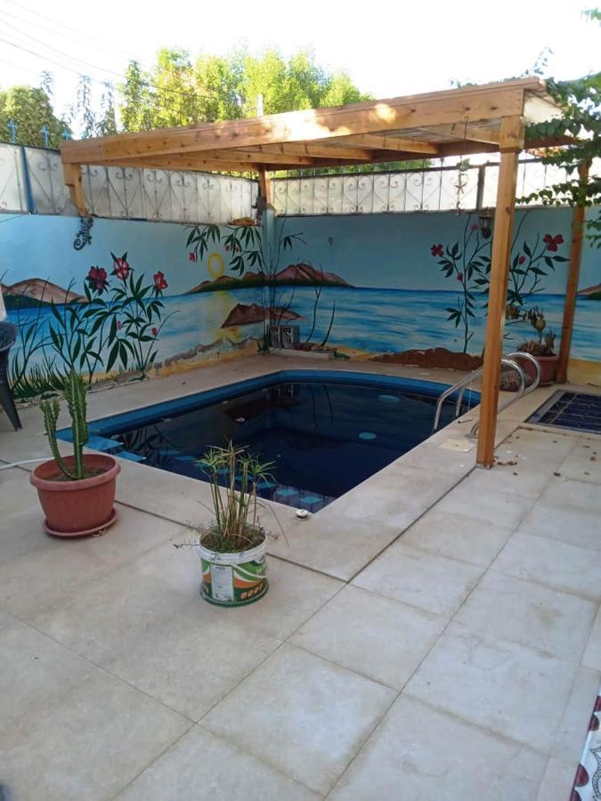 Villa Louise Guest House Luxor Exterior photo